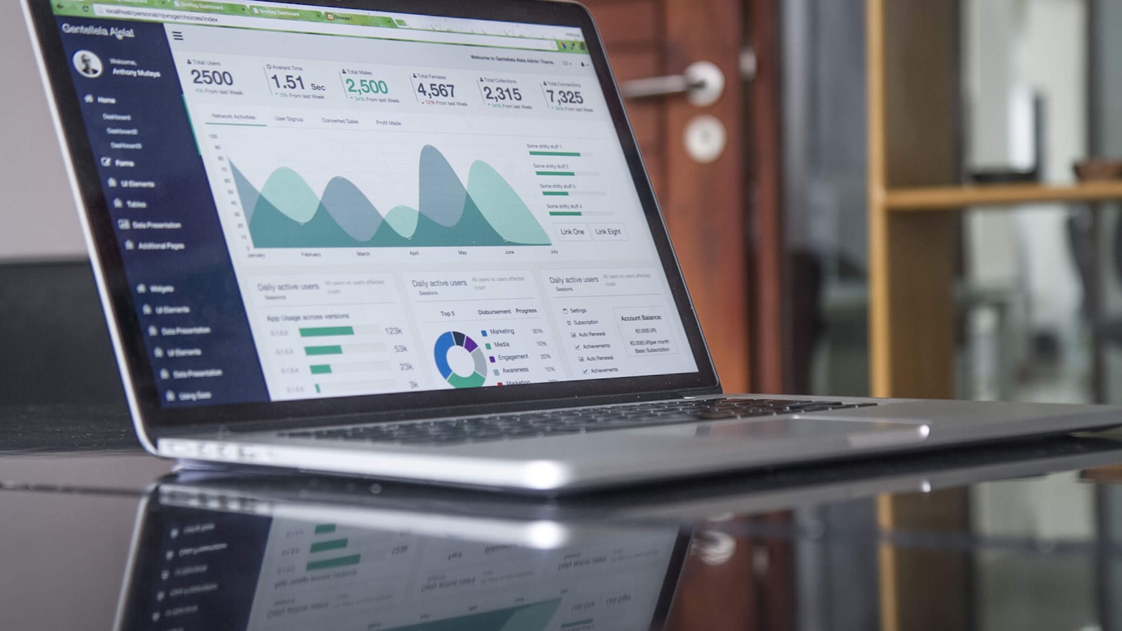 Laptop showing analytics charts